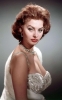 sophia loren / #509250