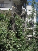 ağaç katliamı yapan chpli belediye