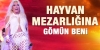 beni hayvan mezarlığına gömün / #511148