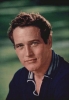 paul newman / #513885