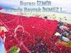 20 nisan 2013 izmir bayrak mitingi