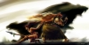 udyr / #338296