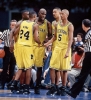 michigan wolverines