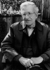 noam chomsky