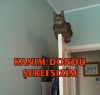 trabzonsporun şl şampiyonu olması / #357233