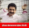 başbakan istesin bekaretimi vereyim / #483343