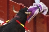 matador olmak isteyenlere tavsiyeler / #438940