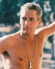 paul newman