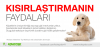 sacmala behcet / #513827