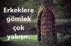 erkekler kalem kadar inceyse de hammaddesi odundur / #347497
