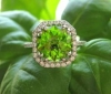 peridot / #516804