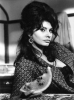 sophia loren / #509252