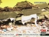 12 kasım 1999 düzce depremi