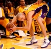 steve blake