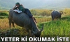 yeter ki okumak iste / #328285