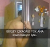 öğrenci evindeki buzdolabı resim 3