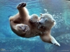 national geographic kamera arkası görüntüleri / #491342