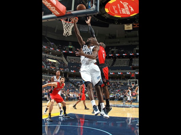 ronald dupree uludağ sözlük