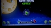 angry birds space