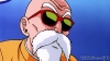 muten roshi