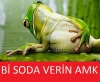 sodanın harika bir içecek olduğu gerçeği / #483301